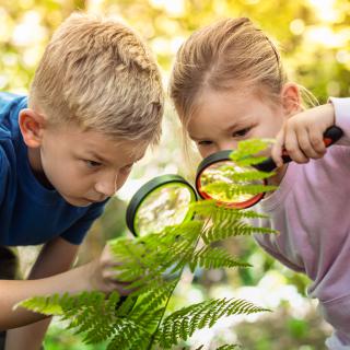 Environmentálna výchova - 4. ročník